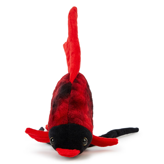 NEW Zappi Co. Soft Plush Stuffed Toy Sea Creature TROPICAL FISH Eco Animal 27cm
