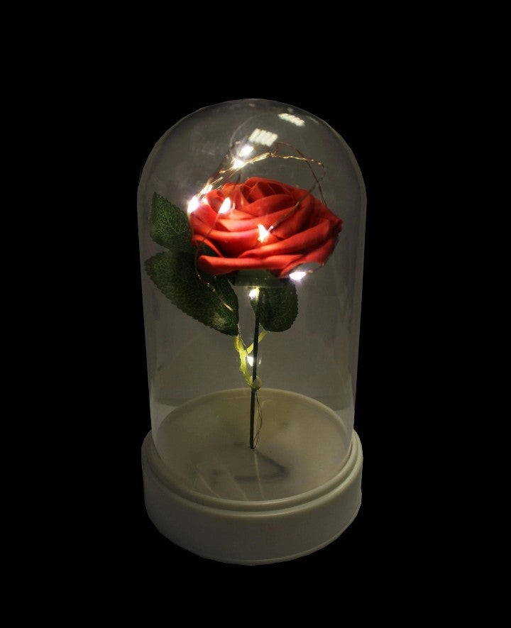 VALENTINES DAY LED ROSE CLOCHE 19CM