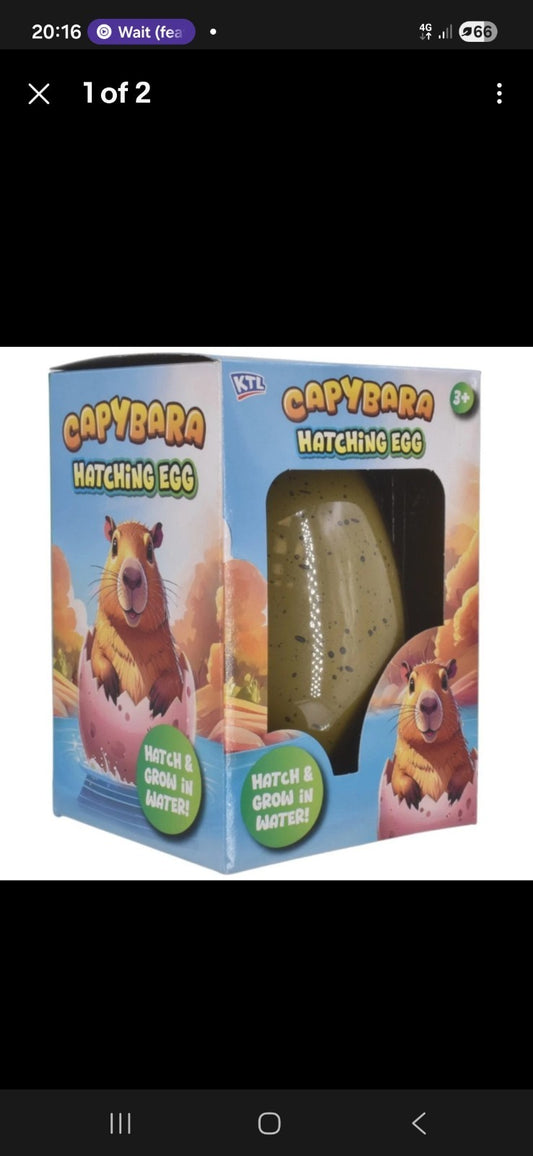 Hatch & Grow Capybara – Magic Water Growing Egg Toy