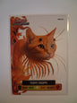 Italian Brainrot LAMINCARD Trading Cards: Single Cards #091-129 From £1.50