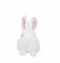 White Fluffy Easter Bunny Plush 8" - Easter Gifts 