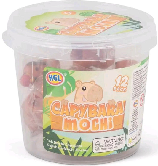 12 PACK CAPYBARA MOCHI TUB