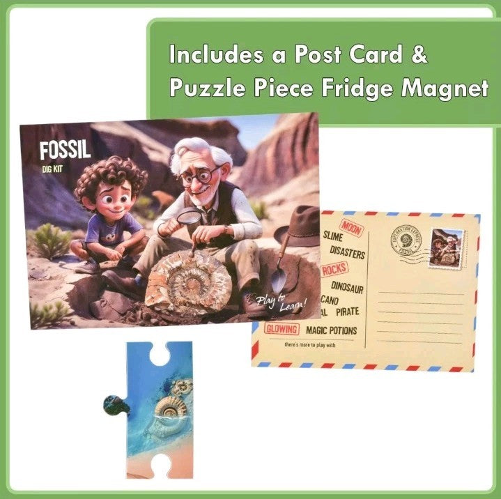 STEAM Educational Science Kits Activity Set - Fossil Digging Science Kit 