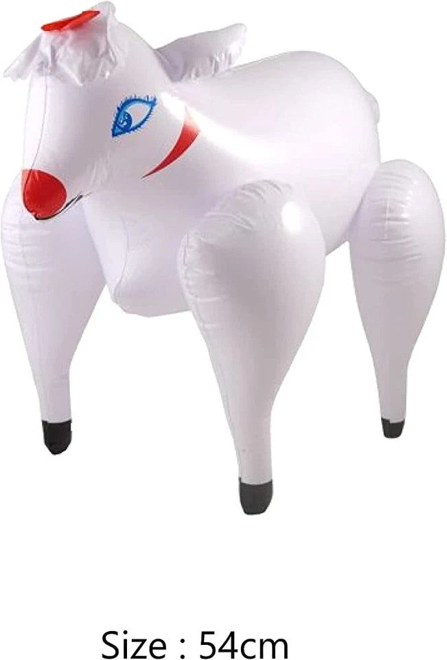 Inflatable Toys For Children & Adults - Parties, Birthdays, New Years, Xmas, New