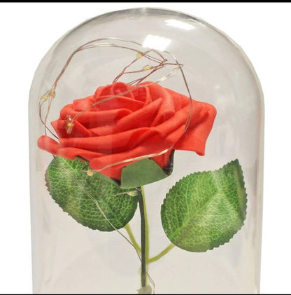 VALENTINES DAY LED ROSE CLOCHE 19CM